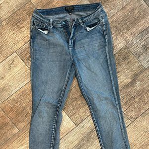 Judy Blue Skinny Fit SIZE 11/30